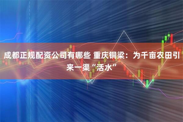 成都正规配资公司有哪些 重庆铜梁：为千亩农田引来一渠“活水”